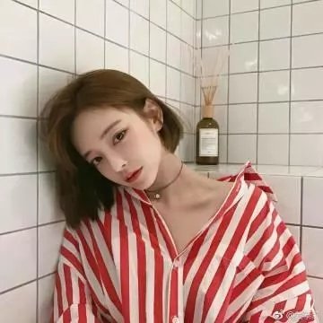 侠盗正传