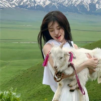 浪族阔少爷